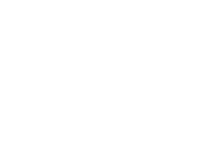 Loyav white logo only name 2